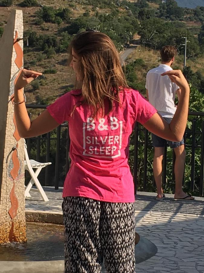 B&B Silver Sleep Papasidero Εξωτερικό φωτογραφία